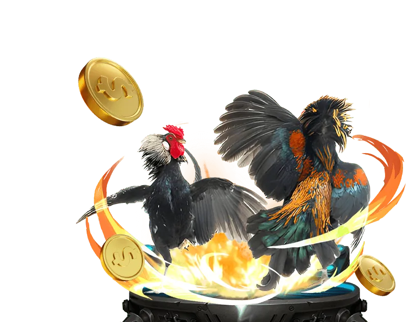 Liên hệ hợp tác đá gà c3